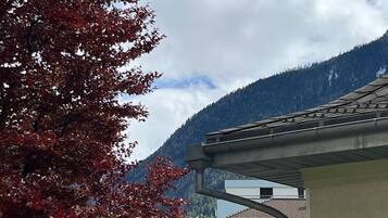 Family Room | Balcony view