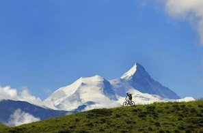 Vue sur les montagnes