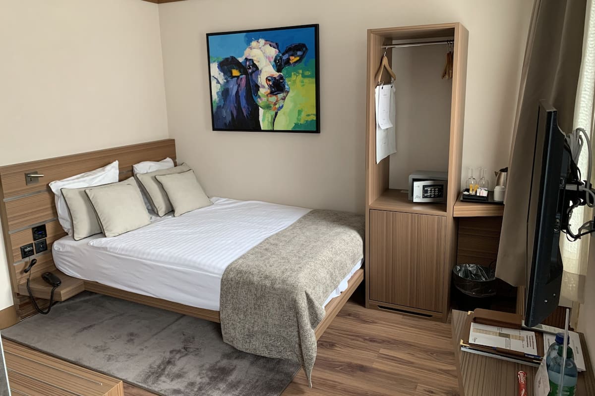 Economy Room, 1 Double Bed | Hypo-allergenic bedding, in-room safe, individually decorated