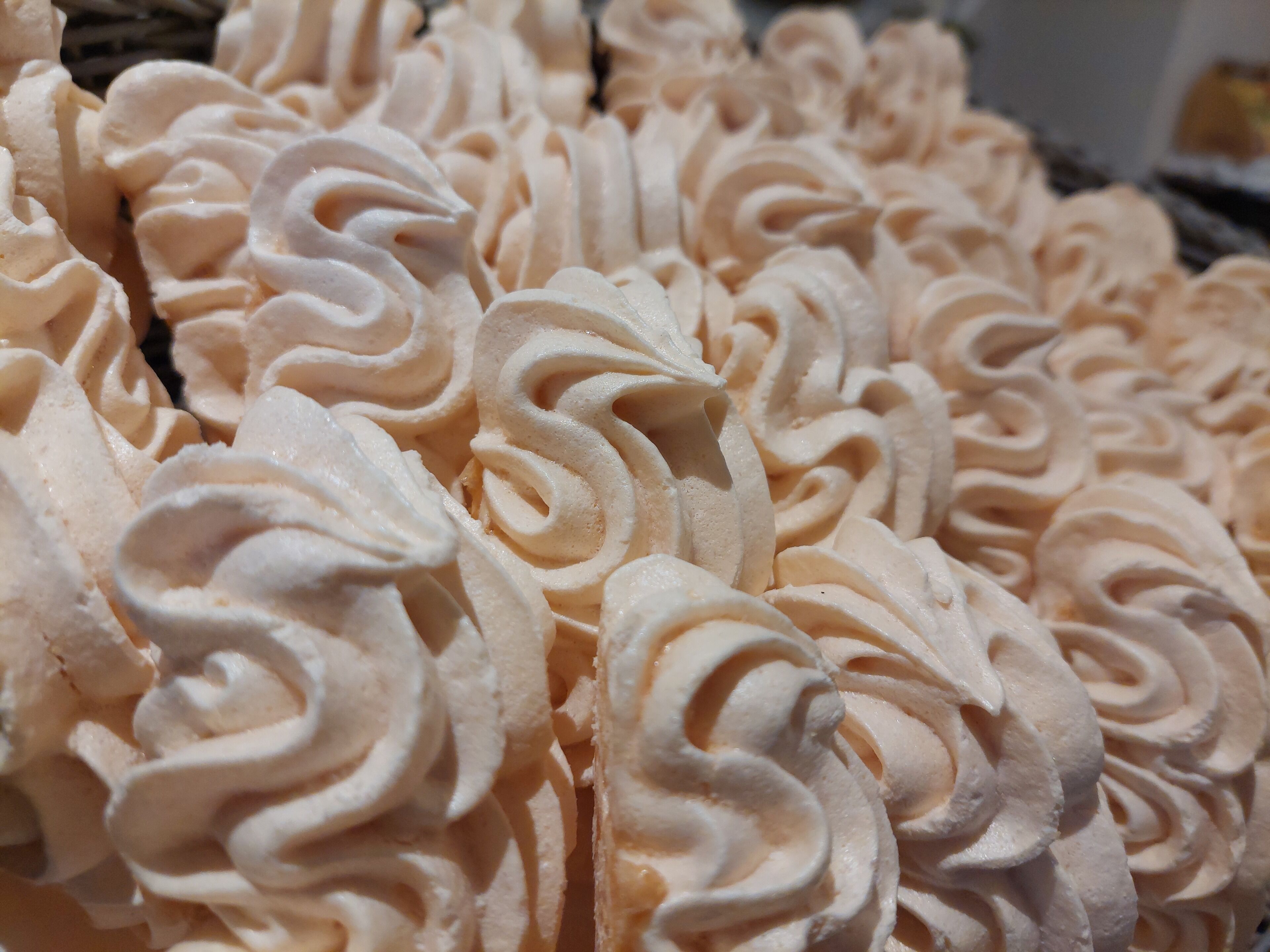 daily buffet breakfast (chf 16 per person)