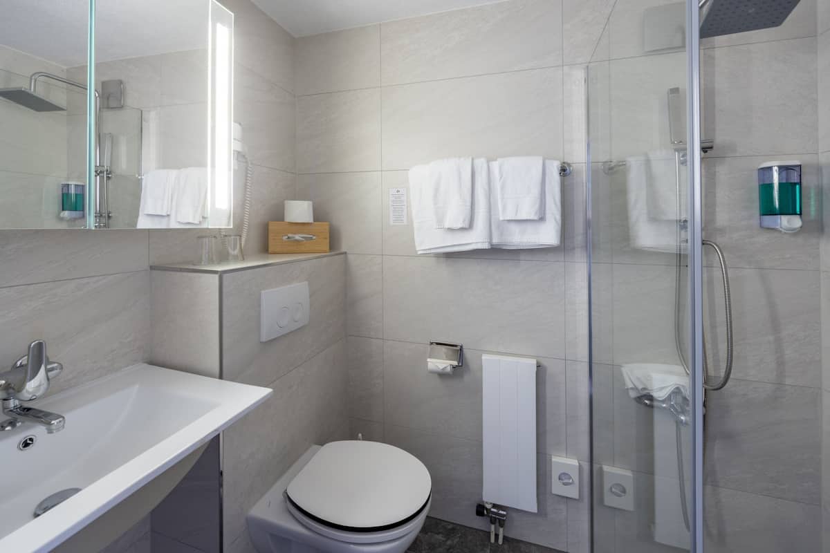 twin room with lake view (incl. city tax) | bathroom | rainfall showerhead, free toiletries, hair dryer, towels