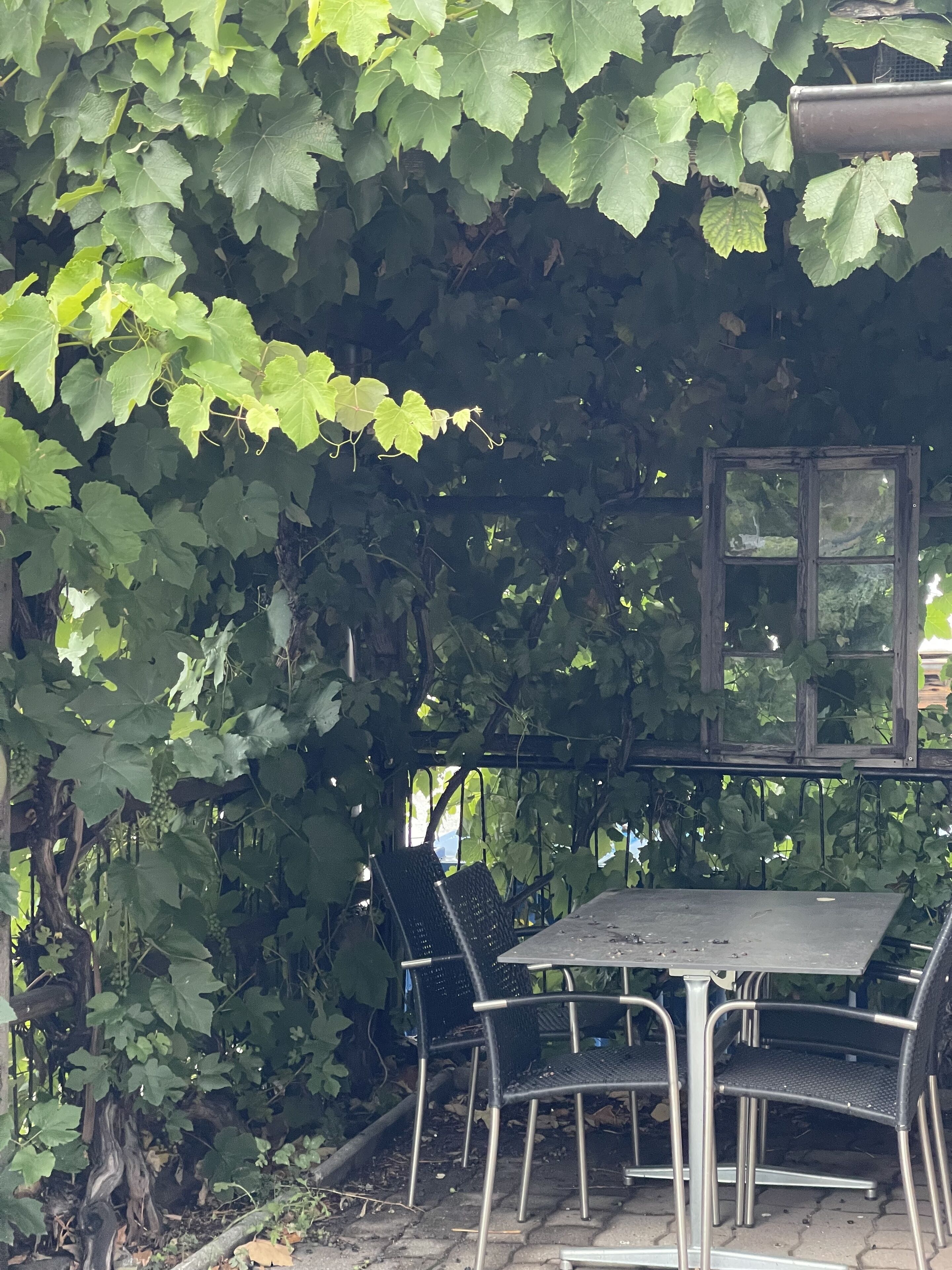 A table and chairs set under a vine-covered pergola.