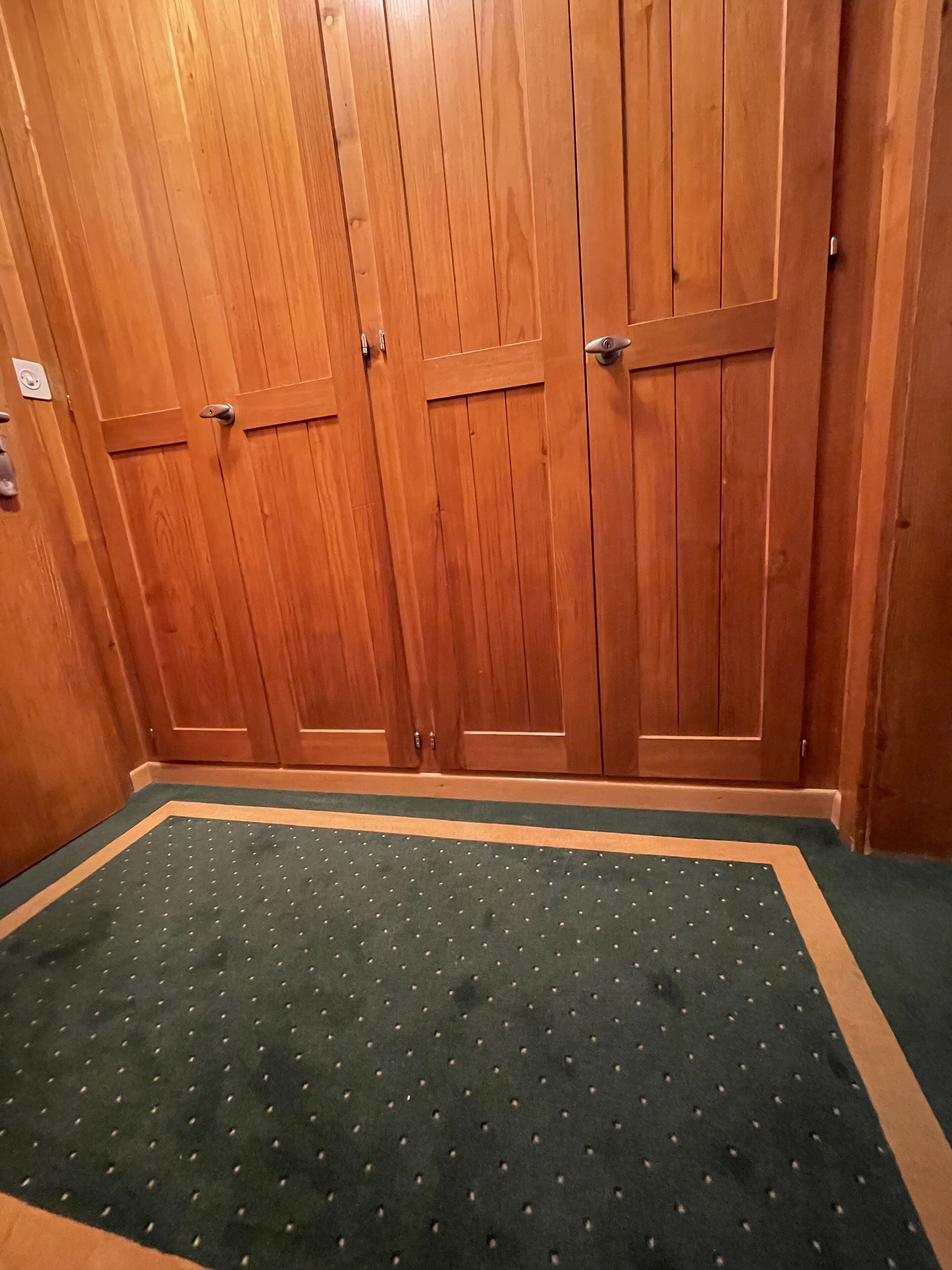 A room with wooden double doors and a green carpet with a dotted pattern.