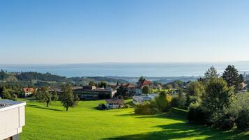 A residential area with houses, a green field, and a view of the sea.