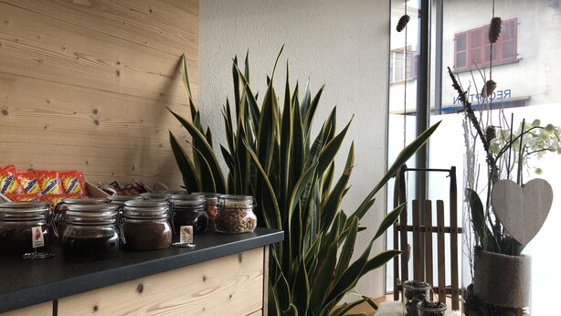 A kitchen counter with jars of spices, a potted plant, and a window with a view of a building. - Crystal Interlaken (Interlaken)