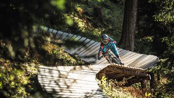 Uma pessoa anda de bicicleta de montanha numa trilha de madeira em uma área arborizada.
