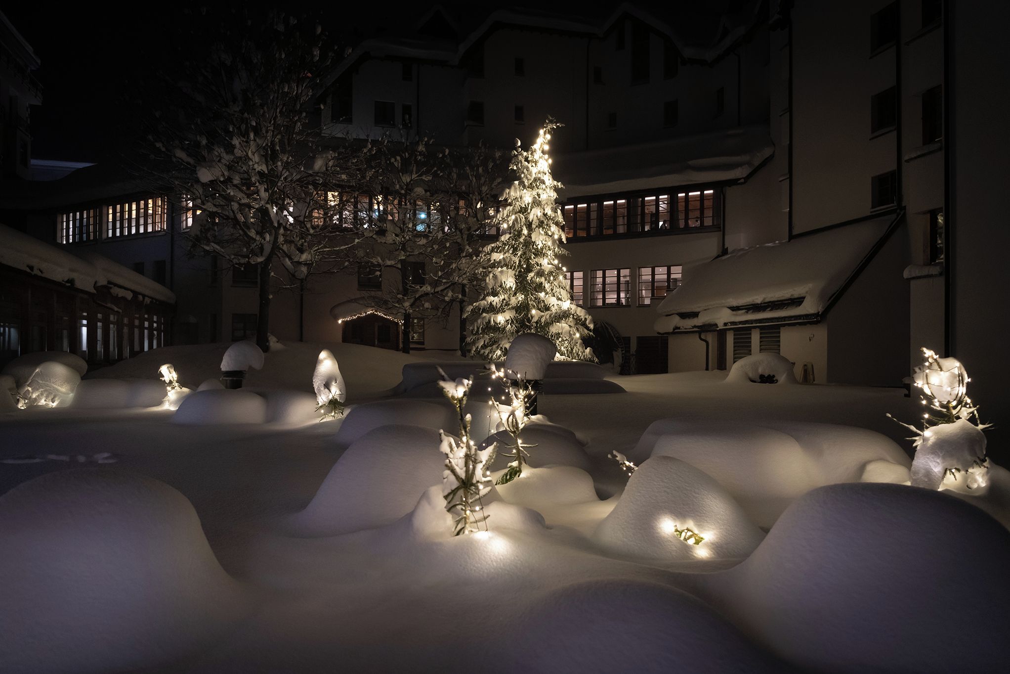 A snow-covered courtyard with illuminated snow sculptures and a lit Christmas tree.