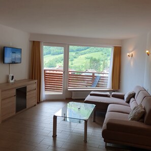 Fernseher