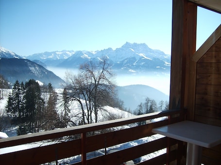 家庭公寓, 1 间卧室 | 阳台