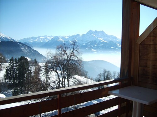 Castel Club Leysin Parc Resort