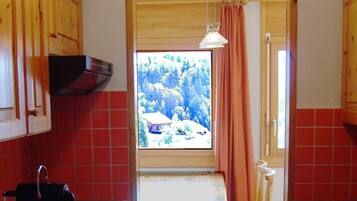 Family Apartment, 1 Bedroom | Private kitchen | Fridge, microwave, oven, stovetop