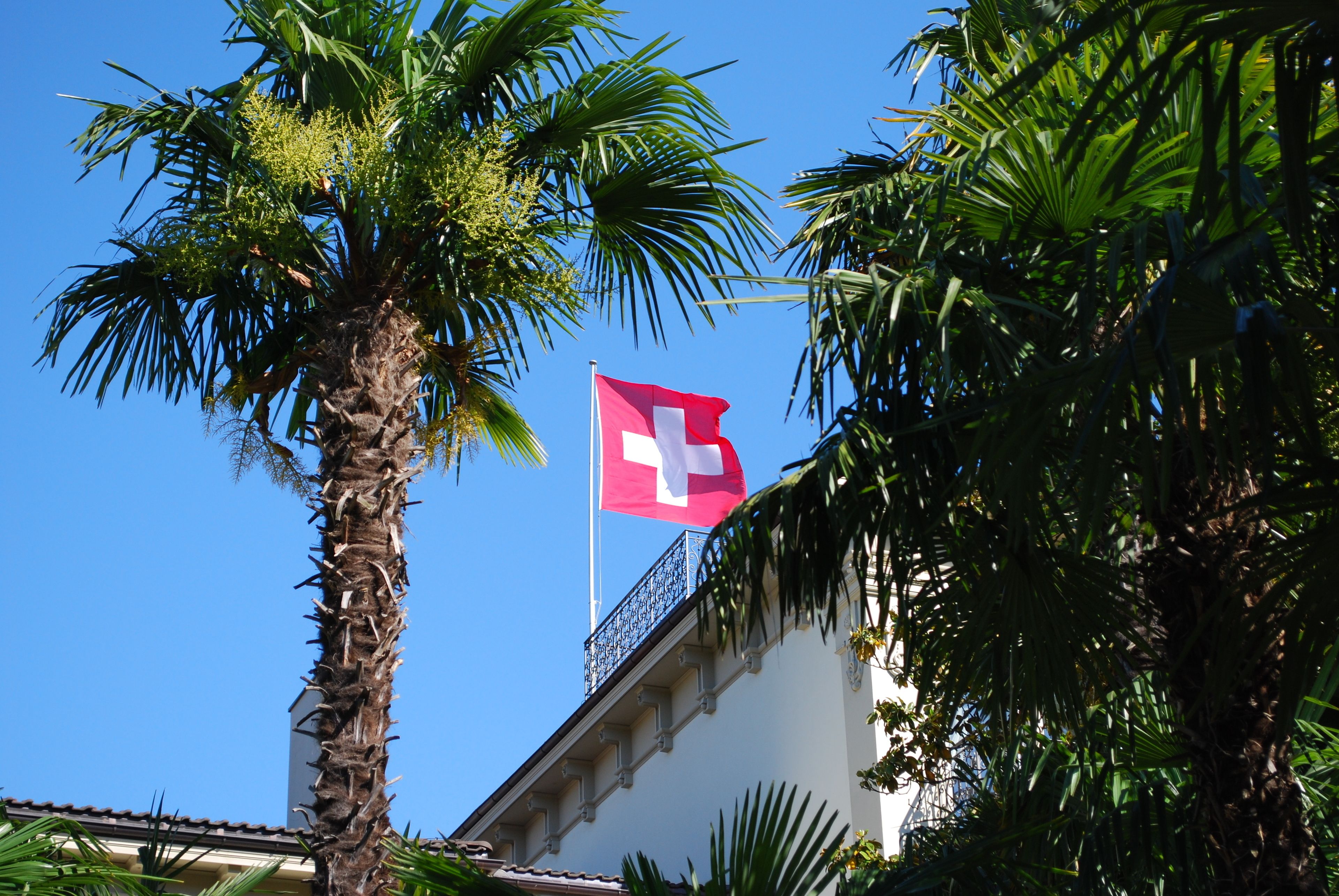 A building with a flag, palm trees, and a clear blue sky.