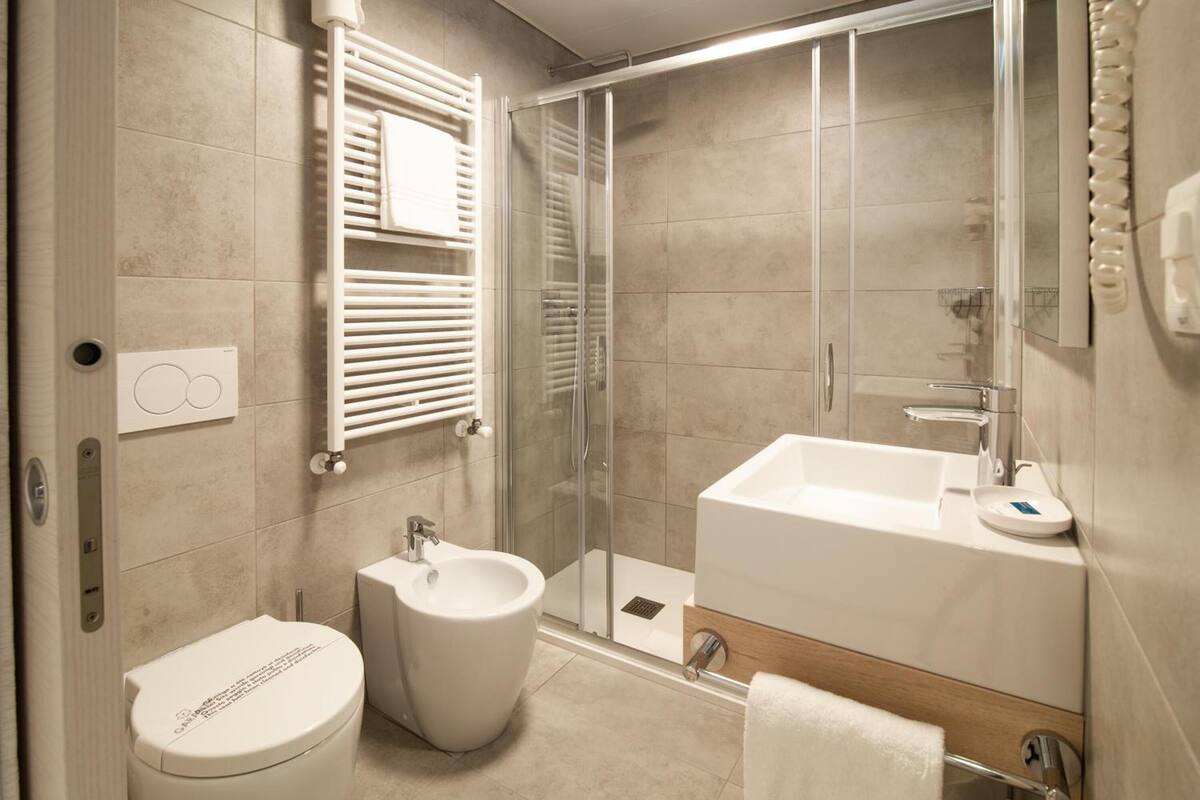 hair dryer, bidet, towels