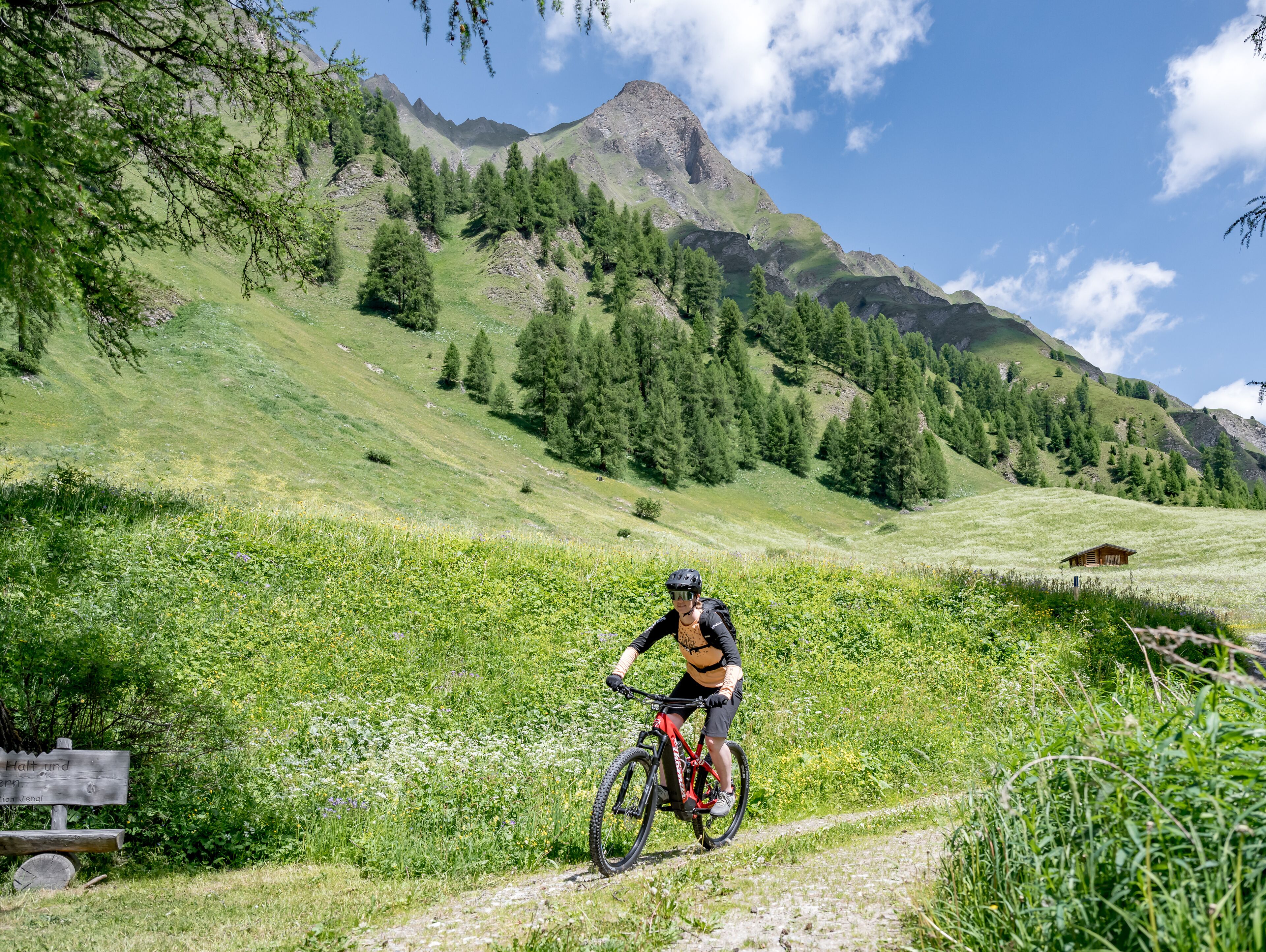 A mountain biker on a trail with a wooden sign, surrounded by green hills and trees under a clear sky.