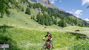 A mountain biker on a trail with a wooden sign, surrounded by green hills and trees under a clear sky.