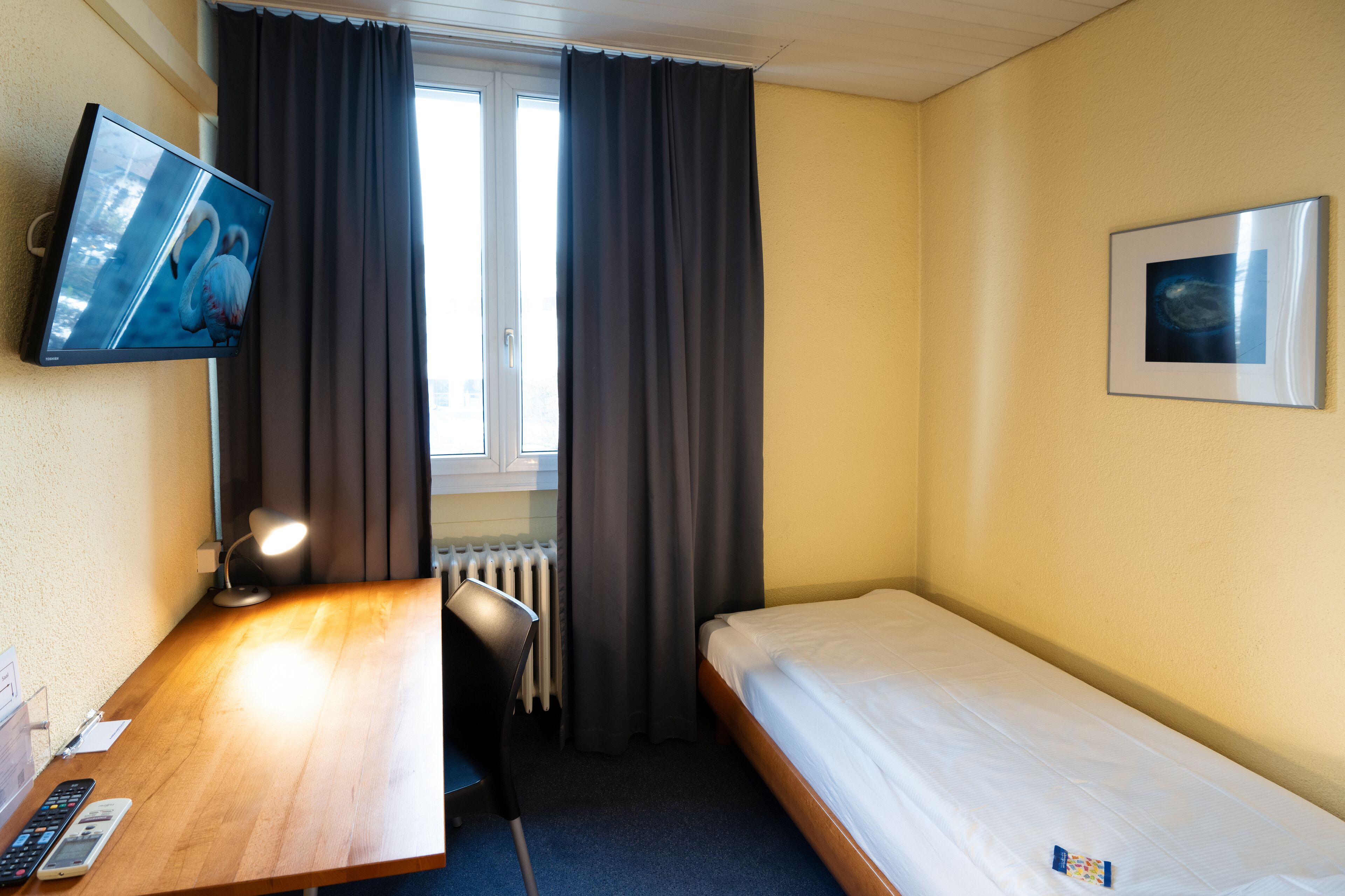 A hotel room with a bed, a desk with a lamp, a TV, and a window with curtains.