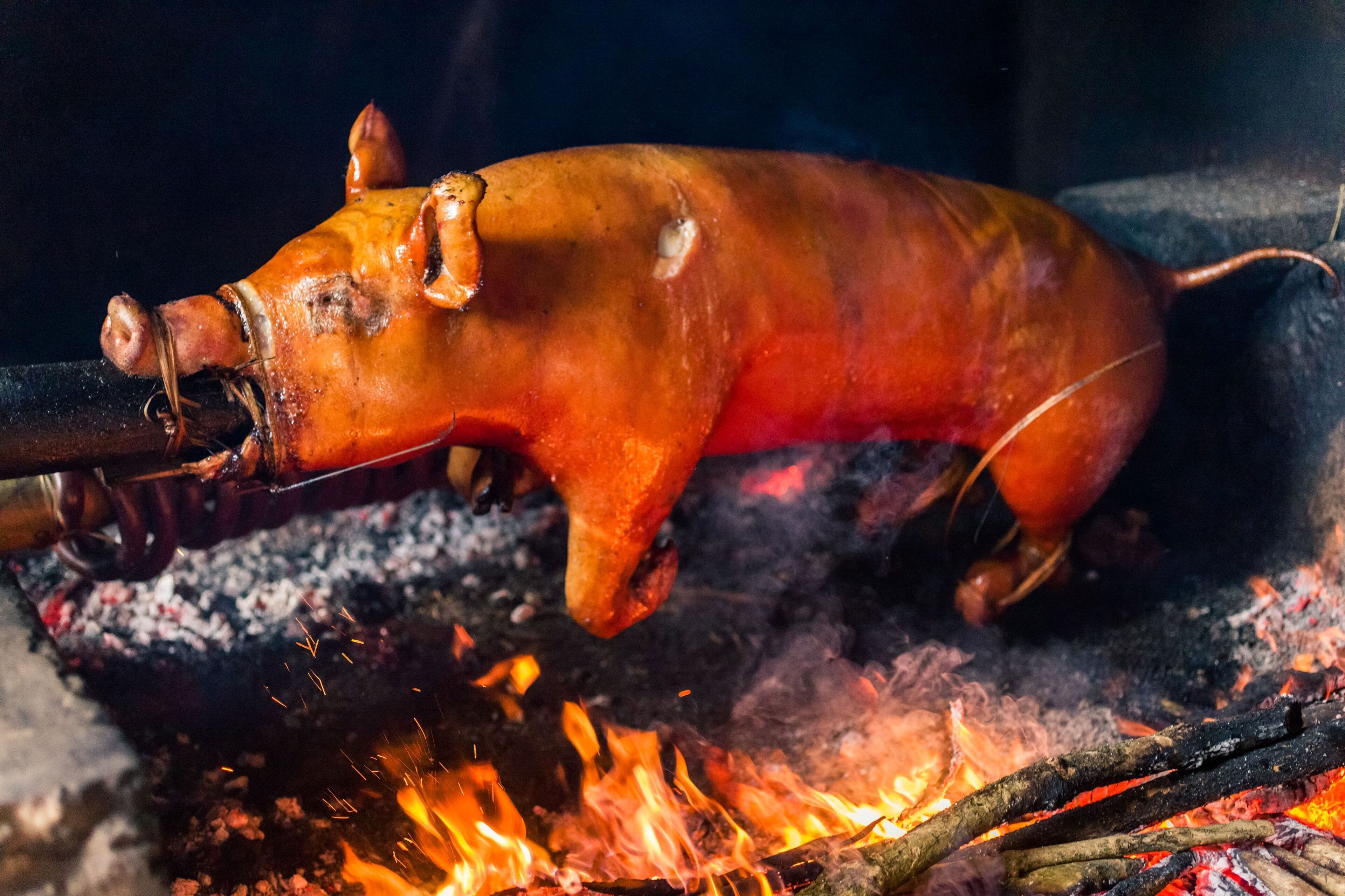 Un cochon entier, rôti à la broche au-dessus d’un feu de bois.