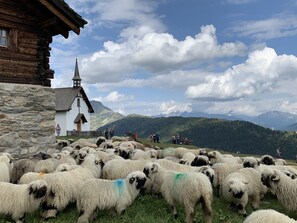 Wandern