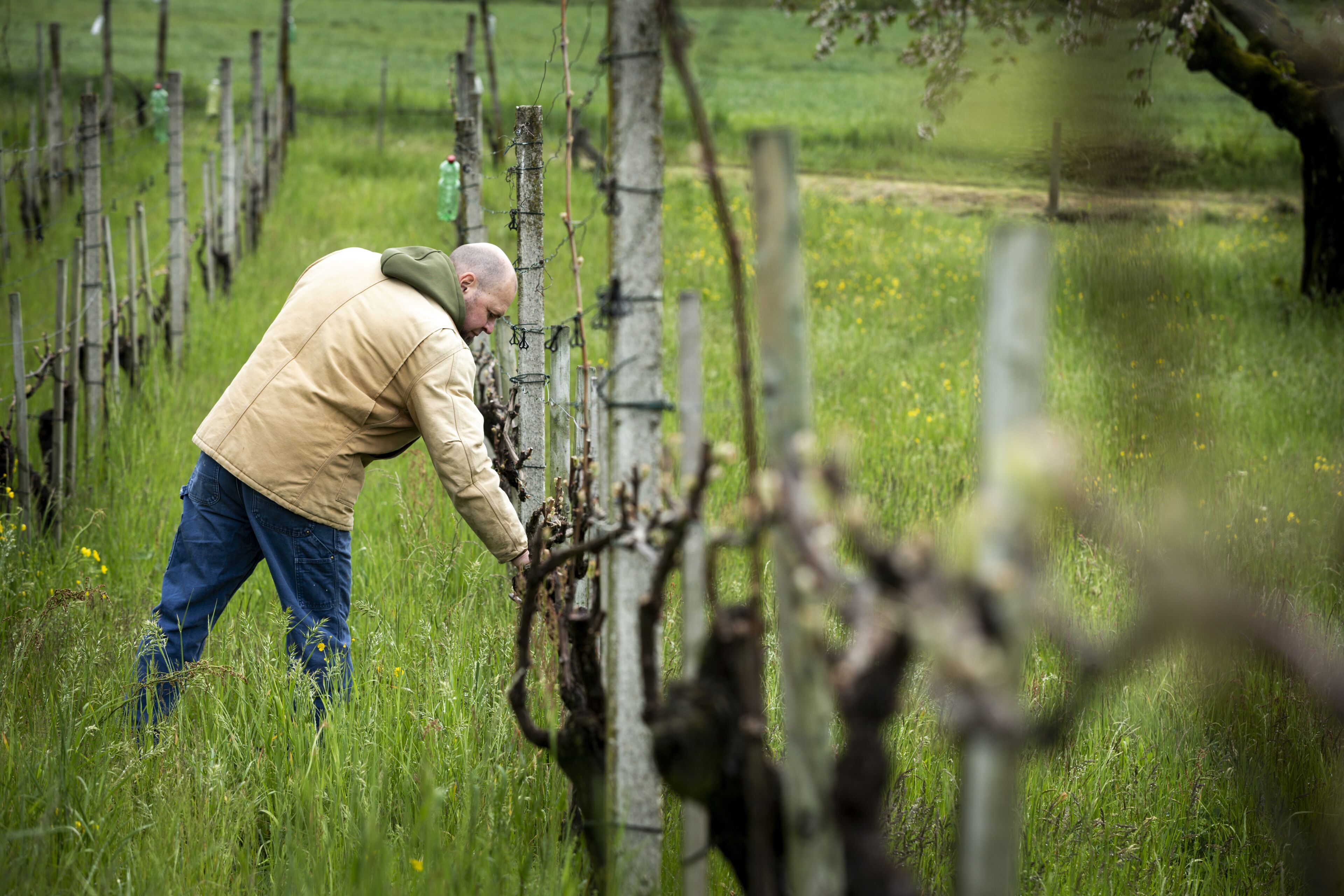 A person in a field with a fence and trees in the background.