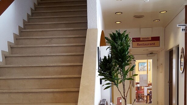 A staircase with a potted plant at the bottom. - Zum Spalenbrunnen (Basel)