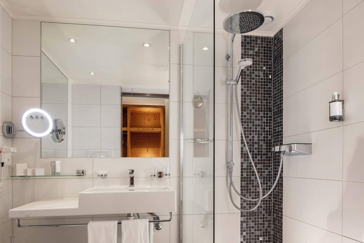 double room (south) | bathroom | shower, free toiletries, hair dryer, bathrobes