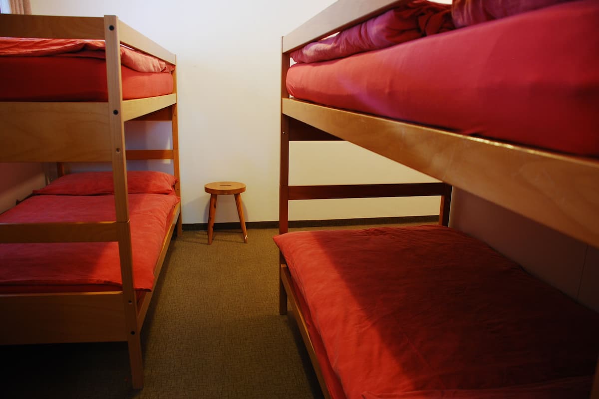 1 Bed in Shared Dormitory
