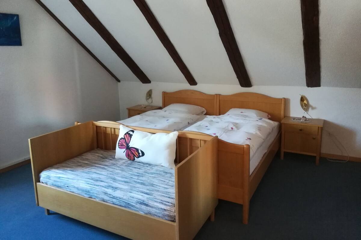 Minibar, desk, rollaway beds, free WiFi