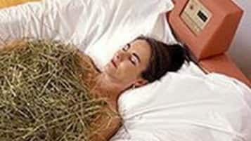 BehandlungsrĂ€ume fĂŒr Paare, Sauna, Whirlpool, Dampfbad