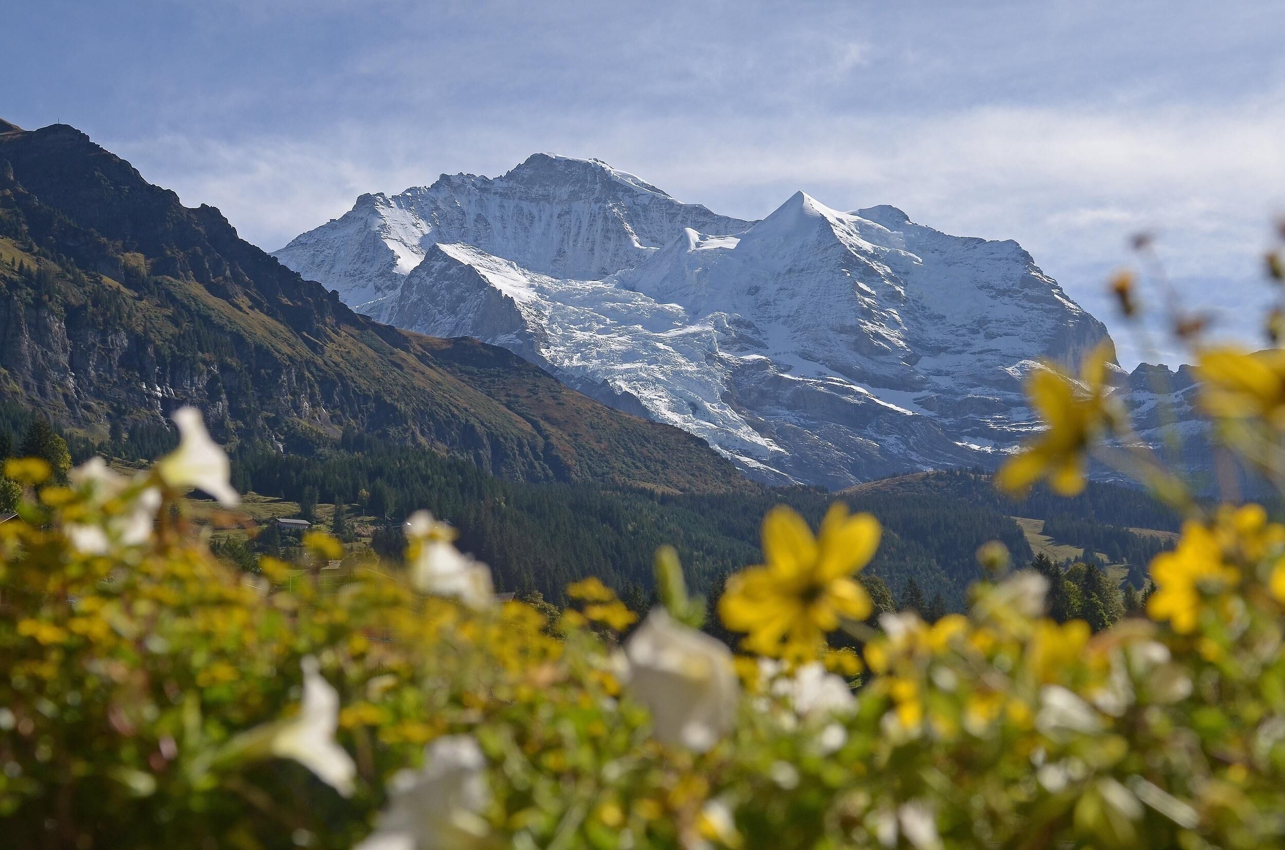 minibar, in-room safe, desk, blackout curtains