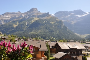 Vue sur la montagne