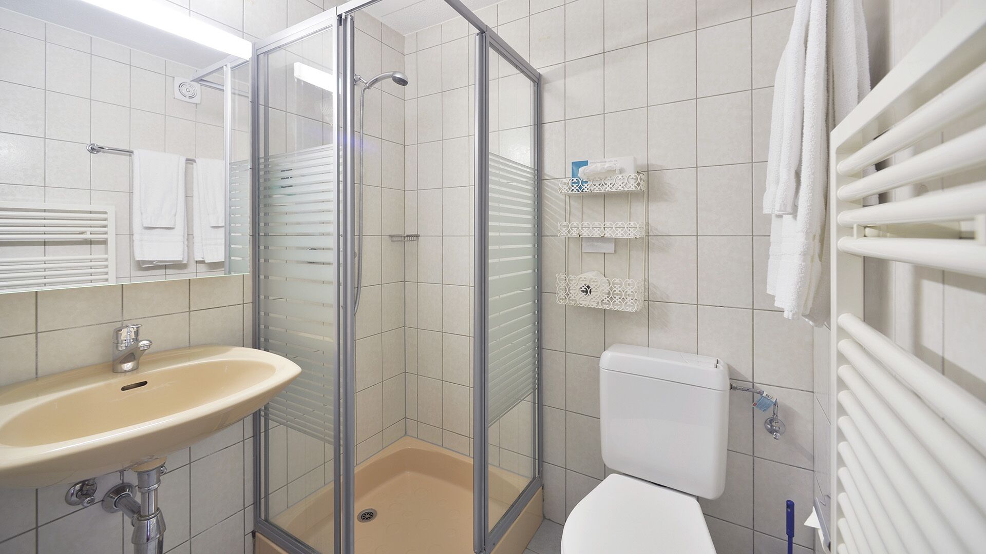 standard double room | bathroom | shower, hair dryer, towels
