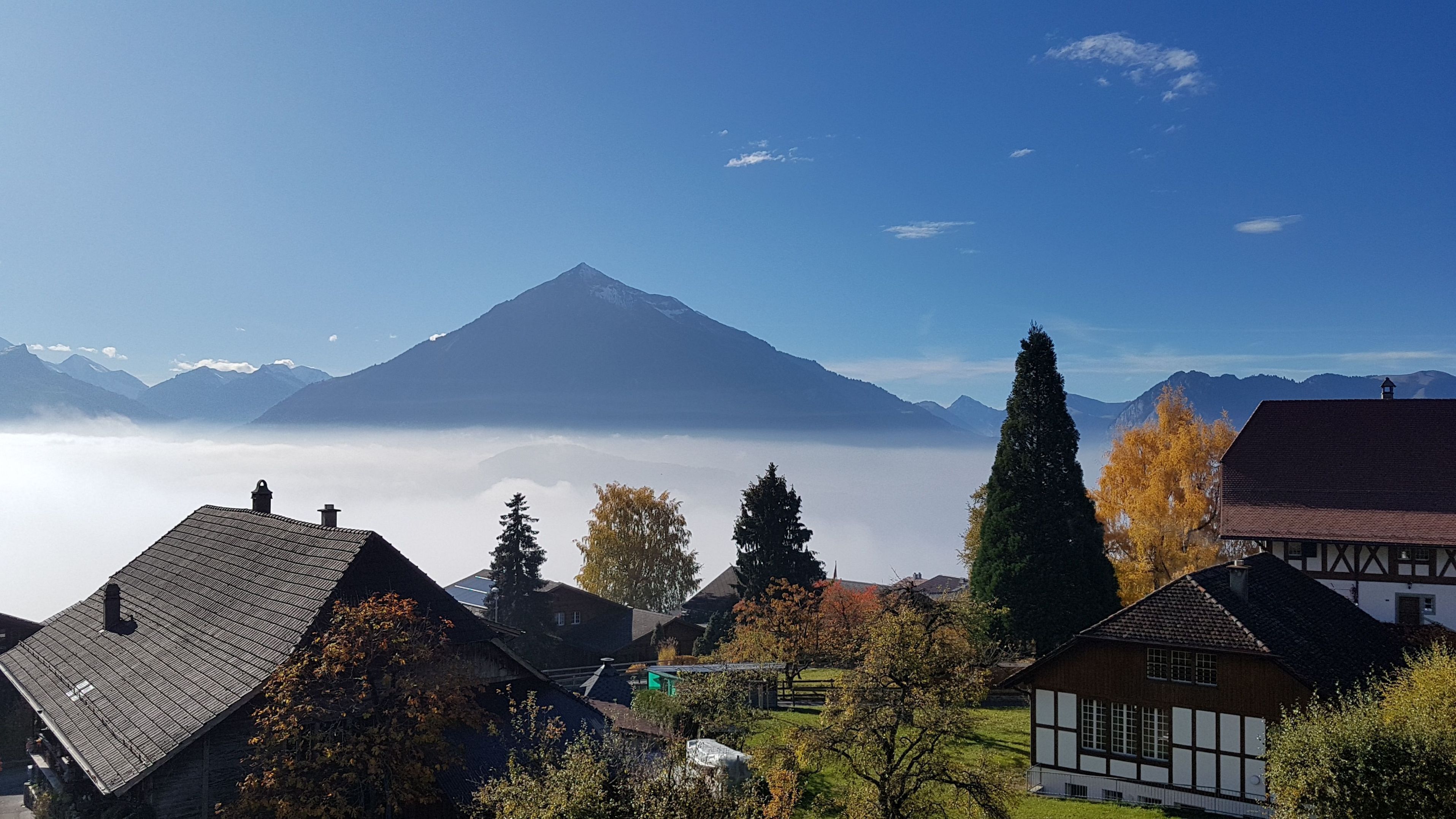 2 bedrooms, hypo-allergenic bedding, in-room safe, blackout curtains