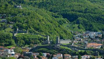 A historic town with a castle on a hill, surrounded by lush greenery and residential buildings.