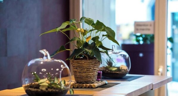 Een plant in een gevlochten mand op een houten oppervlak, met een glazen bol boven een andere plant en een derde plant in een aparte glazen bol.