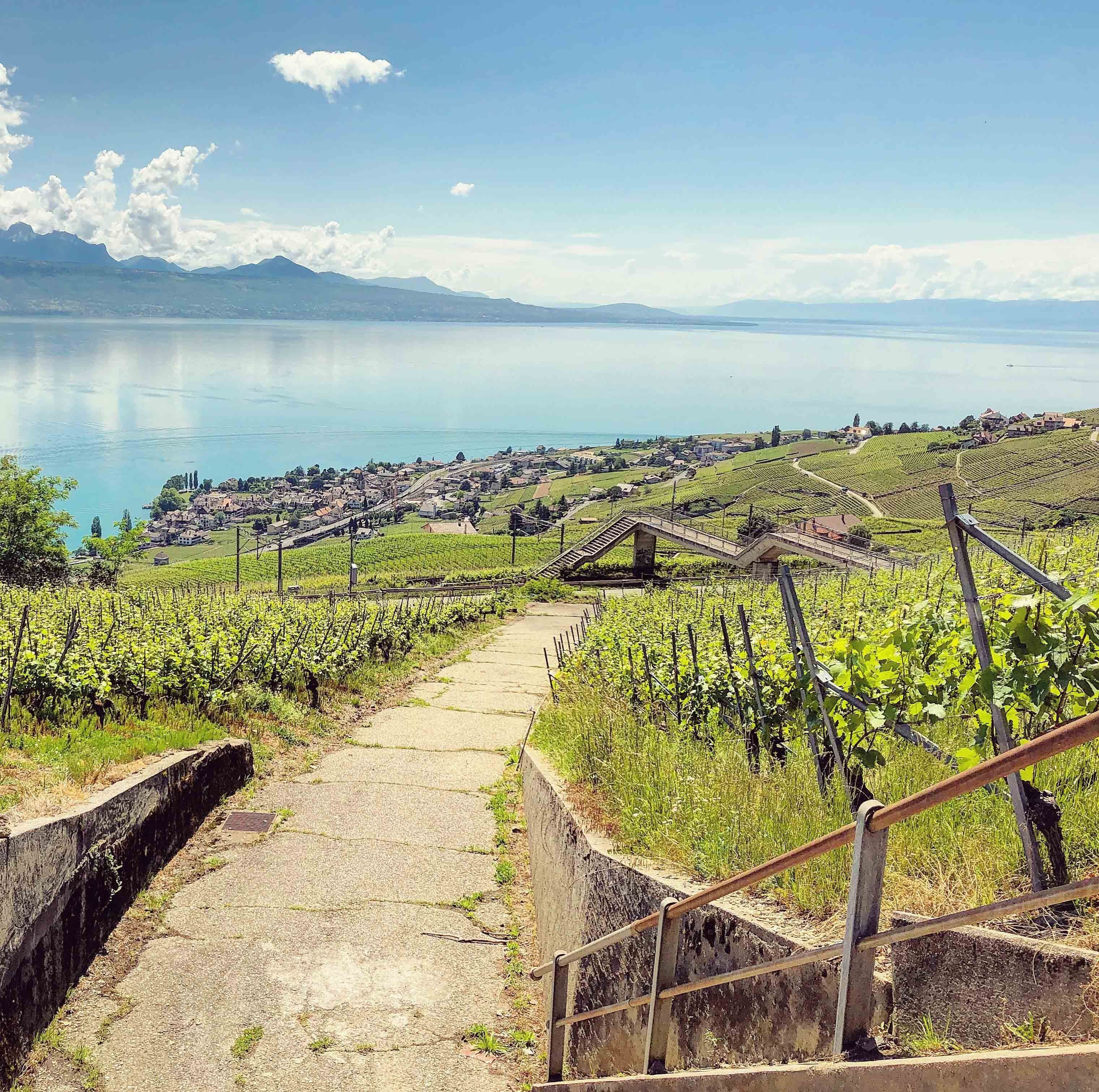 Photo - Rivage Hotel Restaurant Lutry