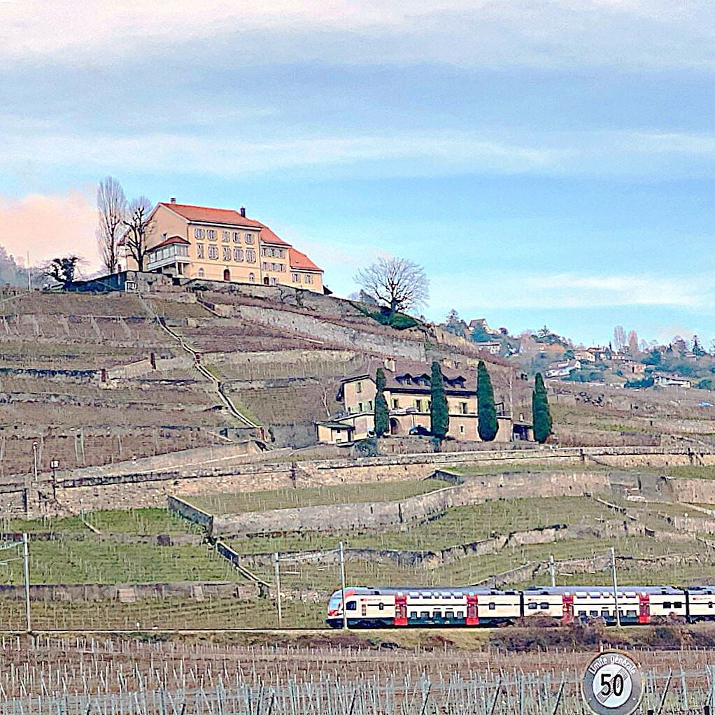 Foto - Rivage Hotel Restaurant Lutry