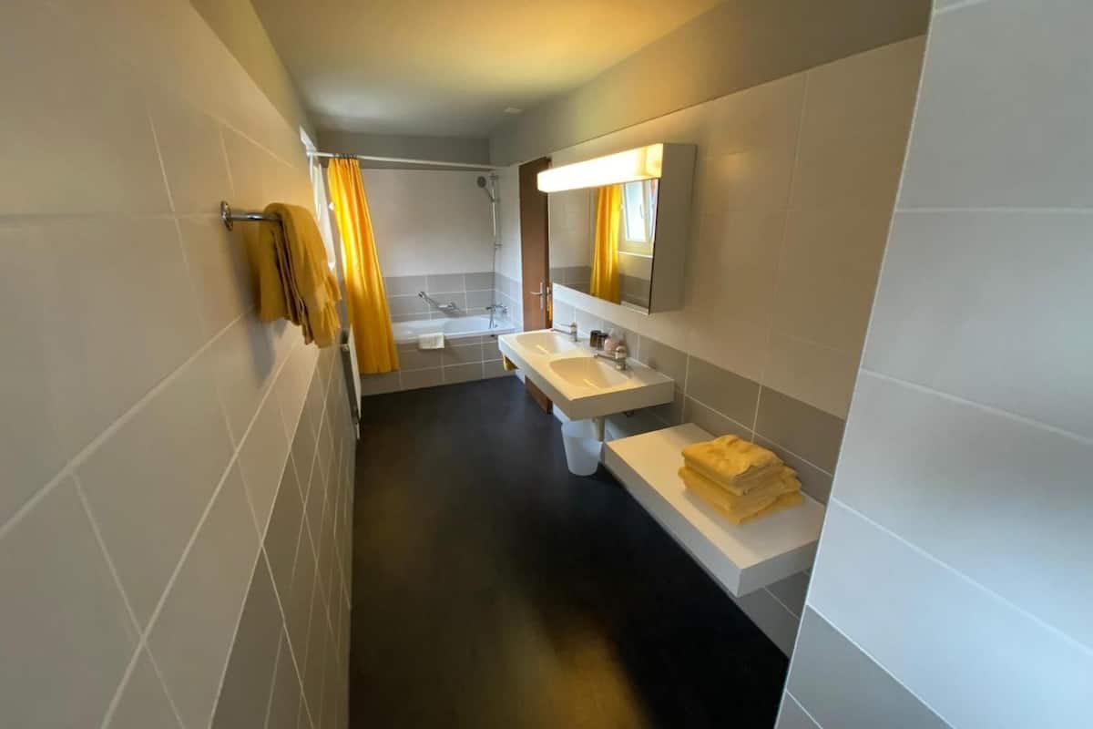 combined shower/bathtub, hair dryer, towels