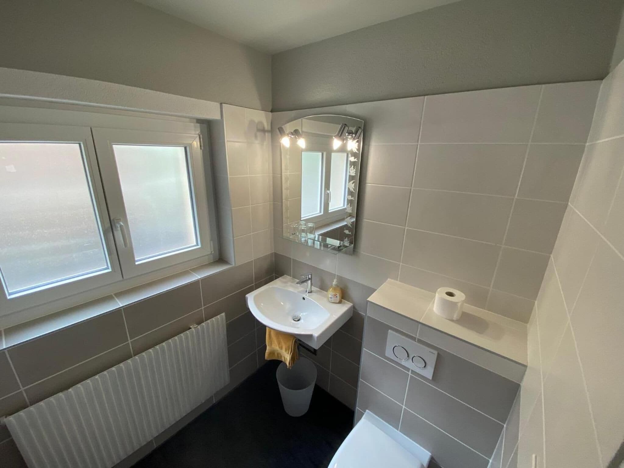 combined shower/bathtub, hair dryer, towels