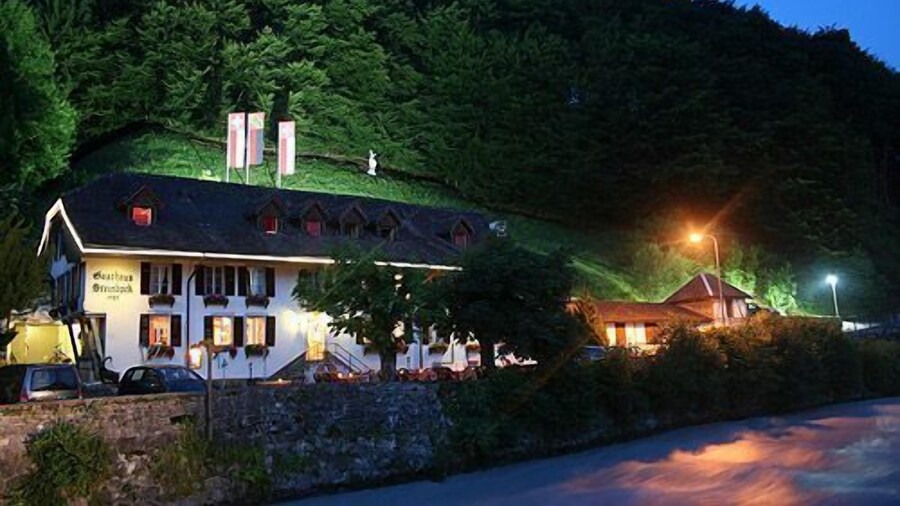 Historic Hotel Steinbock