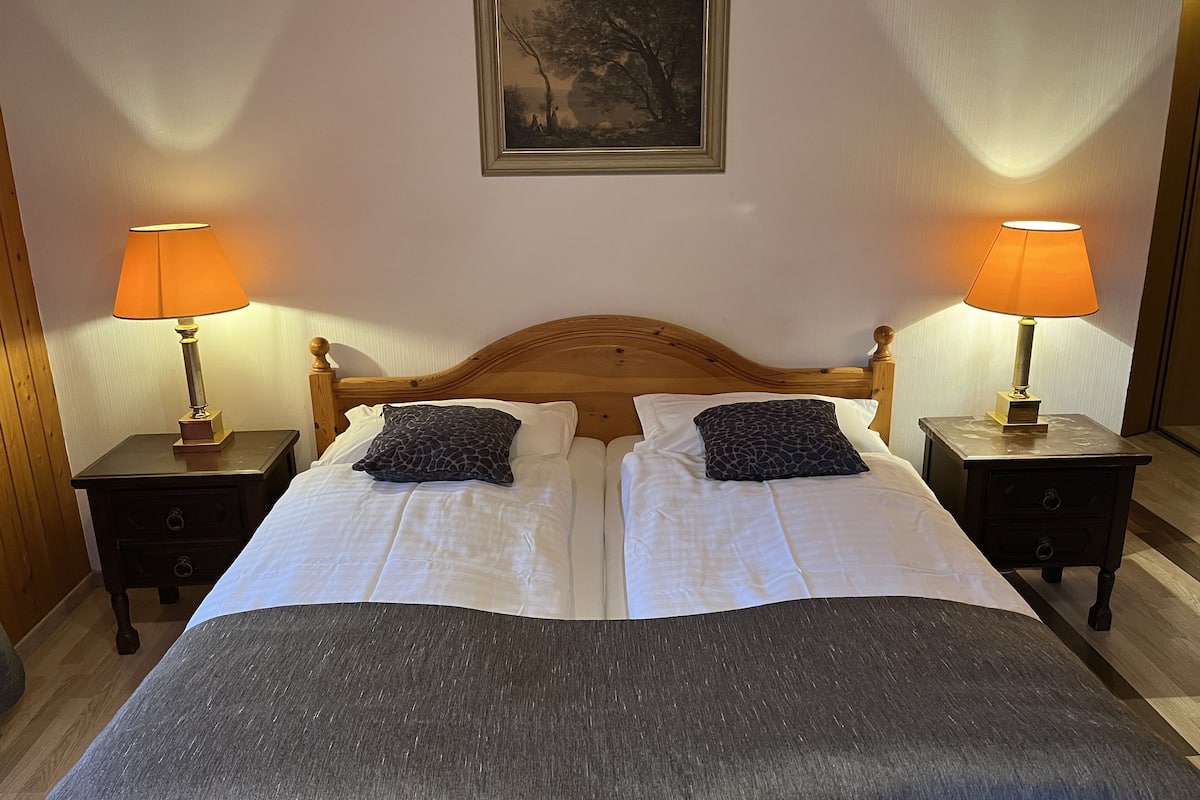 double room, balcony, mountain view | 1 bedroom, individually furnished, desk, iron/ironing board