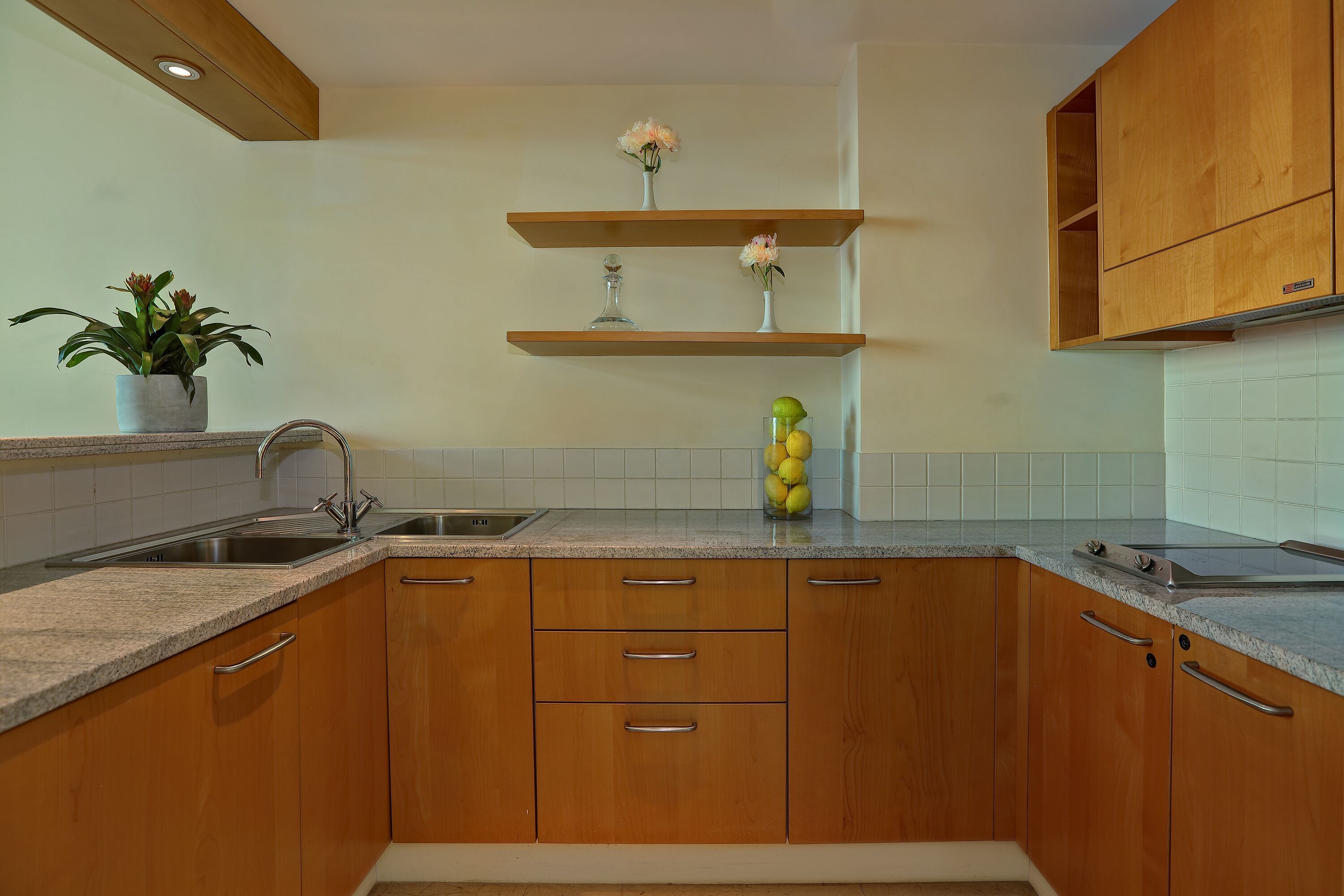 Una cocina con armarios de madera, encimera de granito, un lavabo y una planta en maceta.