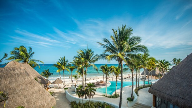 Un complexe hôtelier doté d’une piscine, de palmiers et d’une plage.