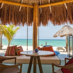 Premium Bungalow | Terrazza/patio
