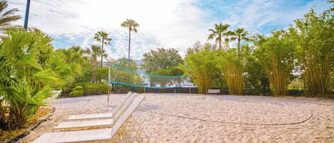 Une plage de sable avec un filet de volley-ball, des palmiers et des chaises longues.