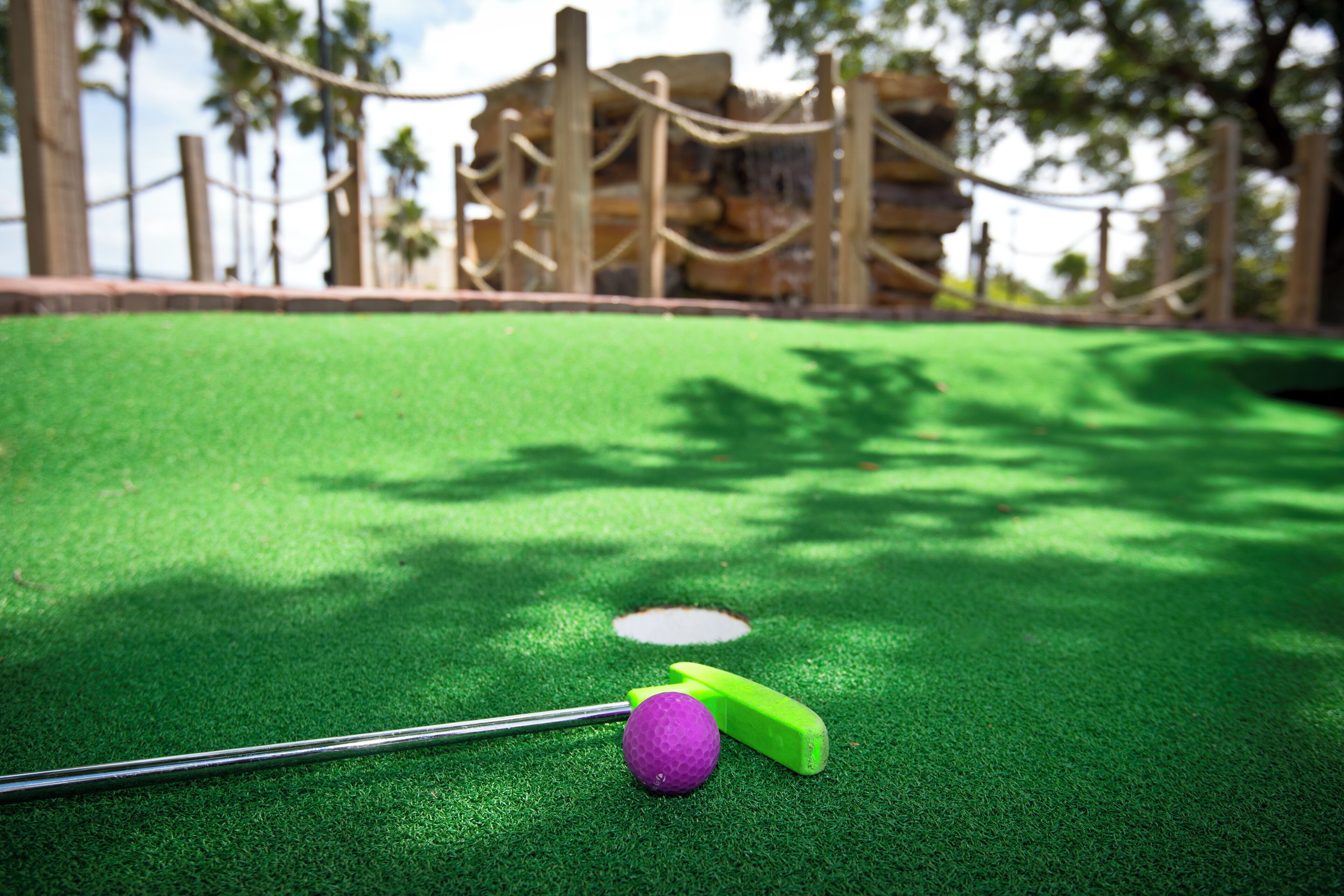 A golf putting green with a golf ball and putter, a hole, and a wooden fence in the background.