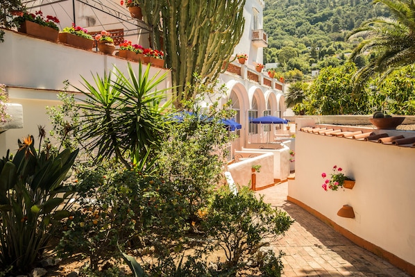 Property grounds - Casa Caprile (Anacapri)