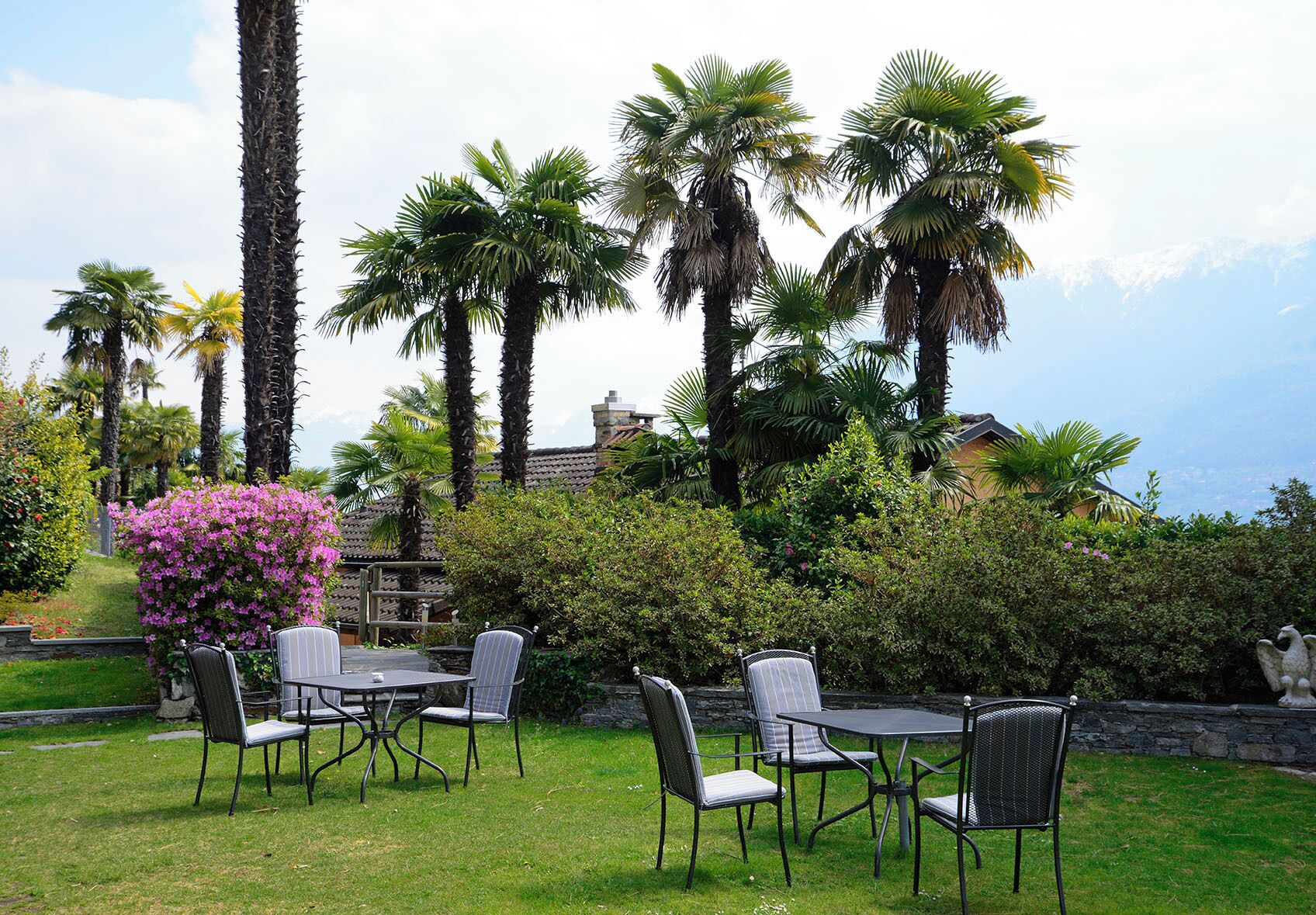 An outdoor seating area with metal chairs and a table, surrounded by lush greenery and palm trees.