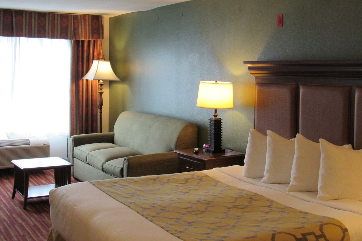 Deluxe Single Room, 1 King Bed with Sofa bed, Non Smoking | 1 bedroom, premium bedding, down duvets, in-room safe