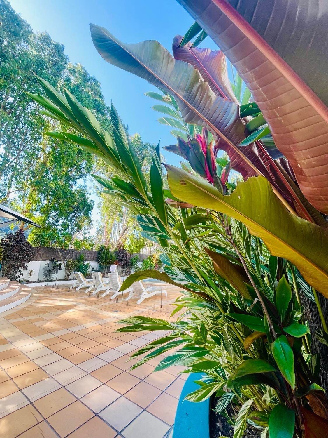 Jardín
