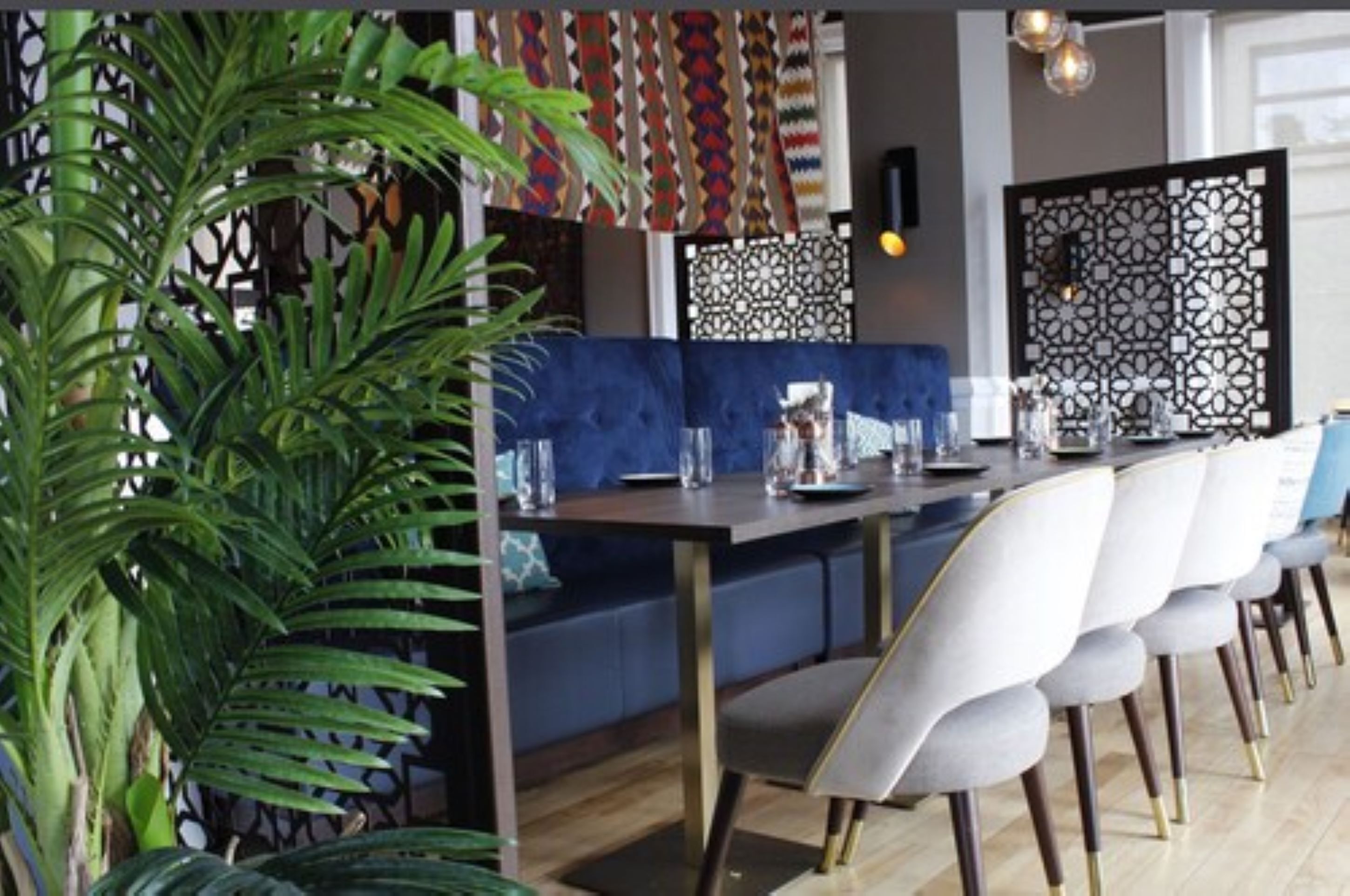 Un restaurante con una larga mesa de comedor, asientos acolchados azules y una planta decorativa.
